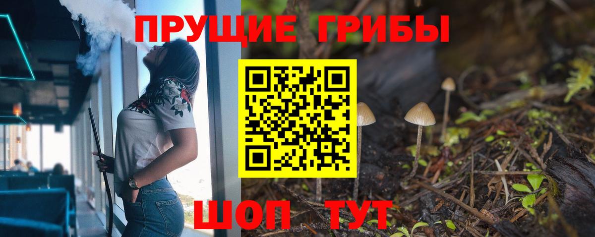 Луга  сколько стоит  Вход с VPN  Галлюциногенные грибы Cubensis 